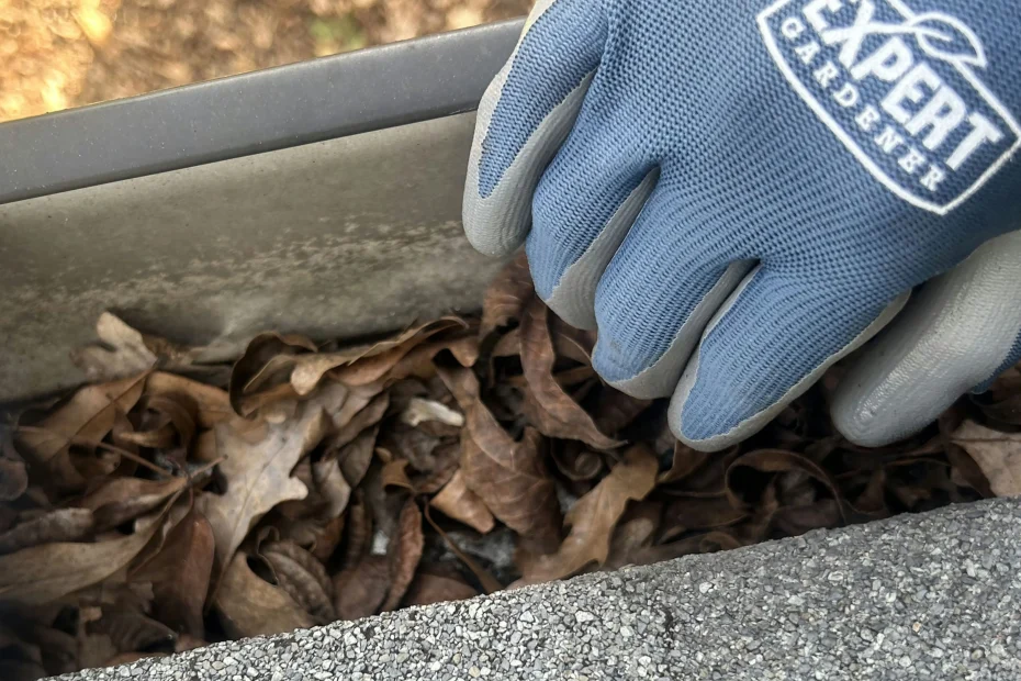 Gutter Cleaning Aledo TX